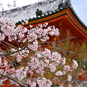 https://stay-sakura-kyoto-gion-north.hotels-in-kyoto.org